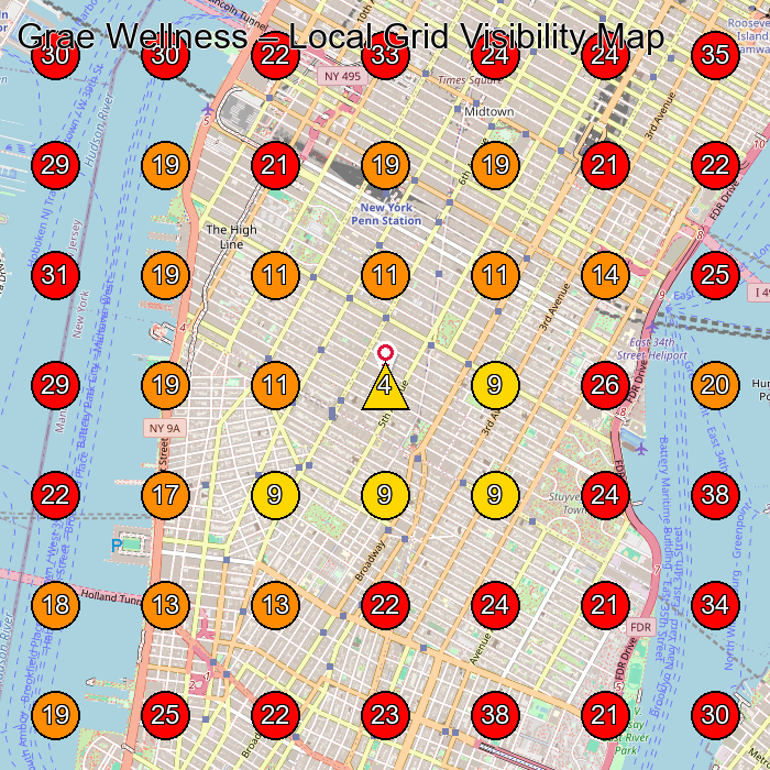 Grae Wellness GeoGrid visibility map for Wellness Center in New York